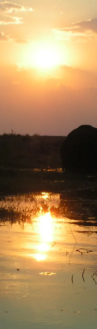 Karibu tena, Afrika!